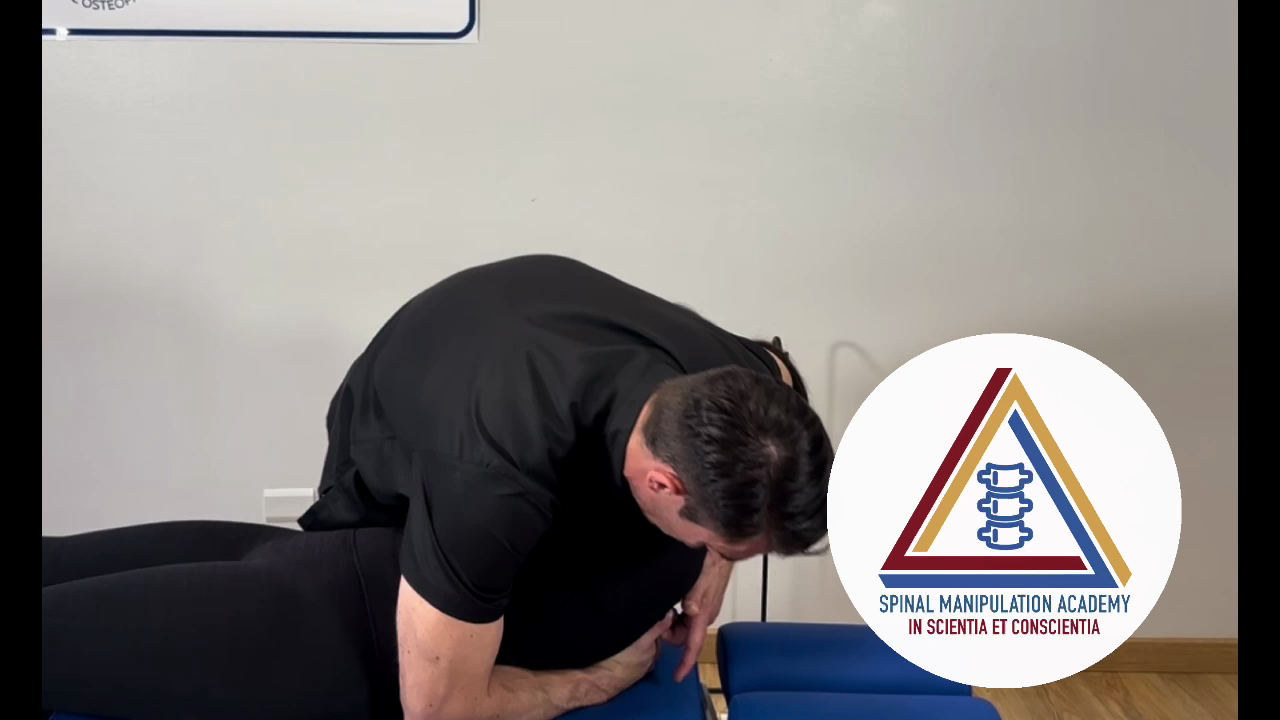 Spinal Manipulation Academy: Corso di Manipolazioni Vertebrali - Rachide dorsale e coste - Manipolazione Rachide Dorsale DOG