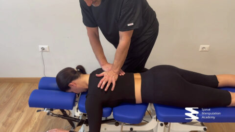 Spinal Manipulation Academy - Area Didattica. Corso Total Chiro
